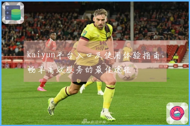 kaiyun平台入口及使用体验指南，畅享高效服务的最佳途径